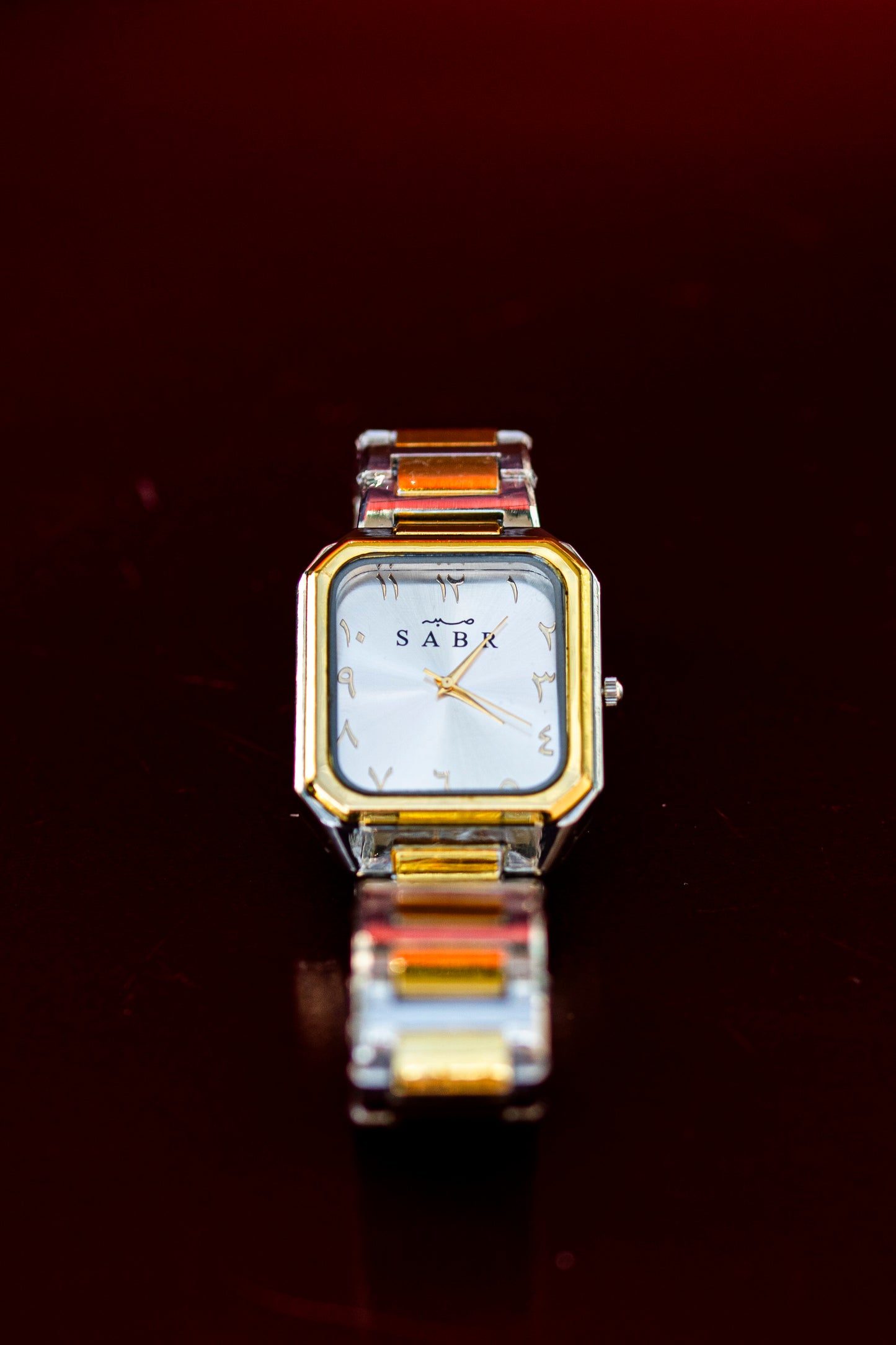 SABR TWO-TONE QUARTZ JAPAN FASHION WATCH