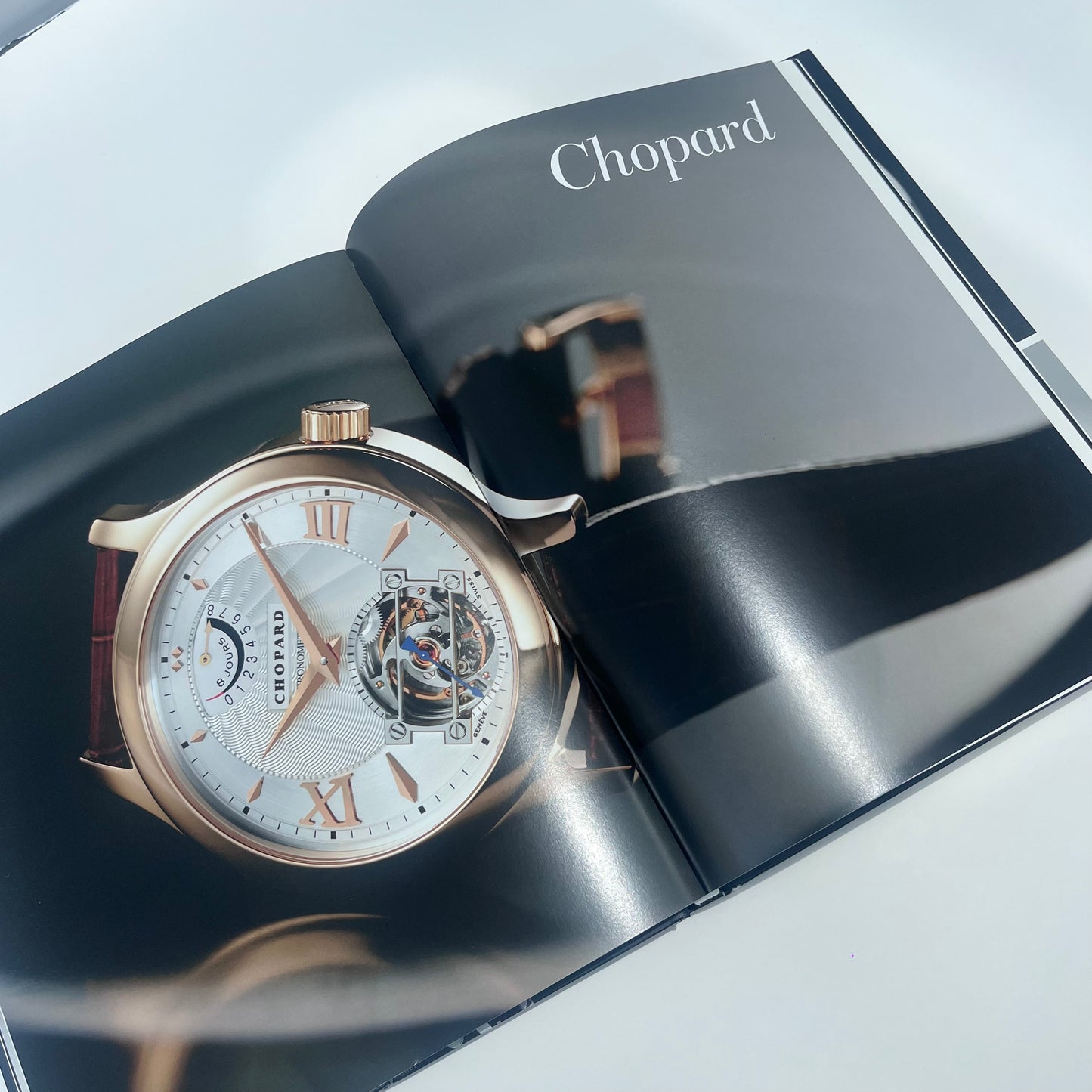 THE WATCH BOOK BY GISBERT L. BRUNNER & CHRISTIAN PFEIFFER-BELLI LUXURY WATCH HARDCOVER BOOK